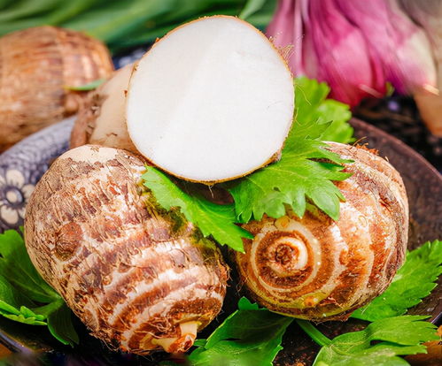 5G優(yōu)選 賦能食用農(nóng)產(chǎn)品初加工，為農(nóng)戶(hù)開(kāi)啟高效賣(mài)貨新通路