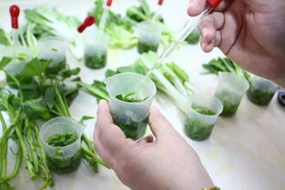 惠東三基地入選粵港澳大灣區(qū)“菜籃子”，引領(lǐng)農(nóng)產(chǎn)品初加工新篇章